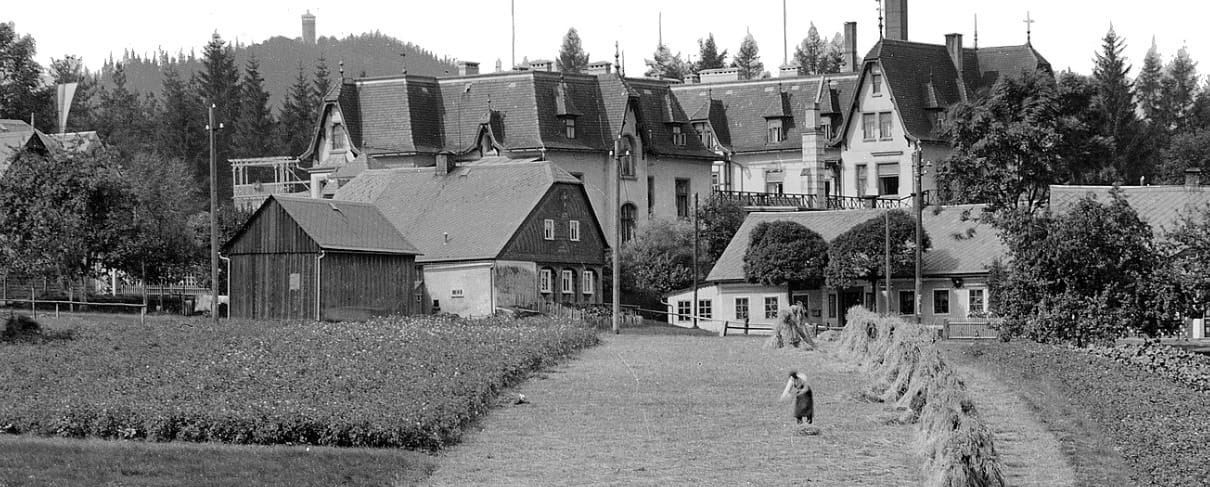 116877818_2344568642519396_3900683568320757575_n